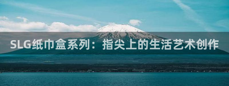 SLG纸巾盒系列：指尖上的生活艺术创作