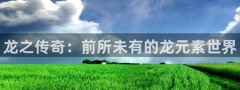龙之传奇：前所未有的龙元素世界