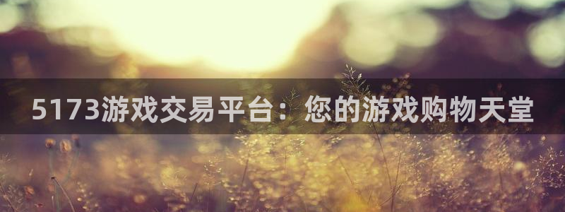 5173游戏交易平台：您的游戏购物天堂