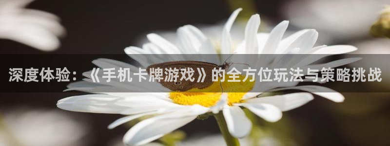一竞技体育官网：深度体验：《手机卡牌游戏》的全方位玩法与策略