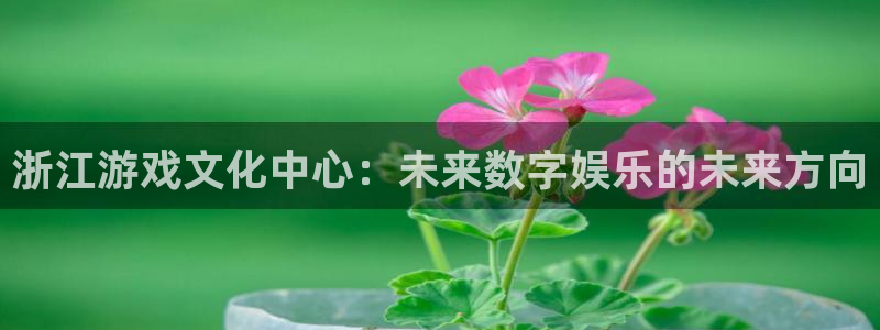 一竞技app官方入口：浙江游戏文化中心：未来数字娱乐的未来方