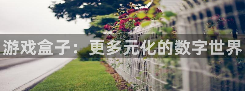 一竞技在线：游戏盒子：更多元化的数字世界