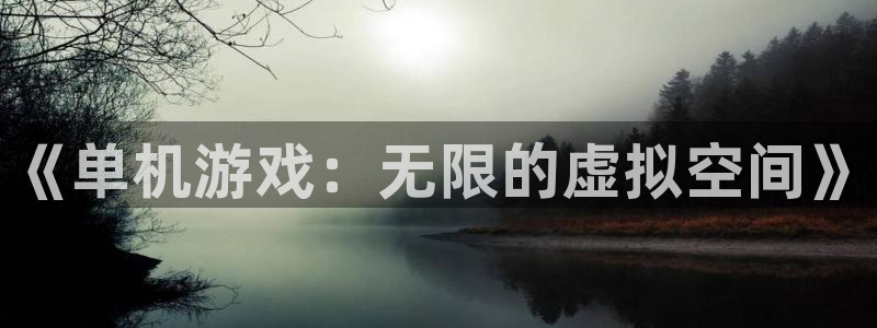 一竞技官网测试：《单机游戏：无限的虚拟空间》