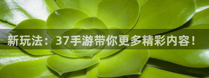 一竞技测速网站