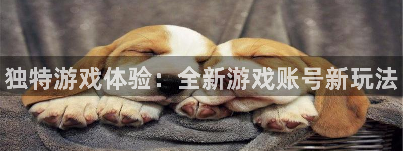 一竞技测速官网：独特游戏体验：全新游戏账号新玩法