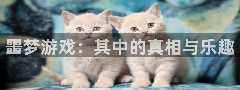 一竞技dota2官网入口